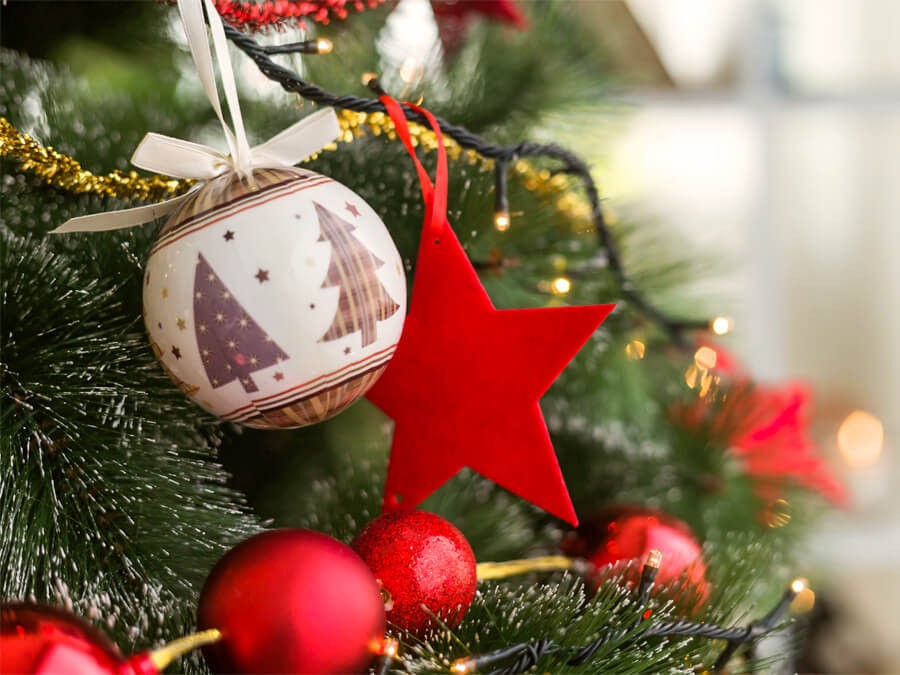 Cây Thông Noel  Và Ý Nghĩa Đầy Ấn Tượng Mà Ít Ai Biết Được ?