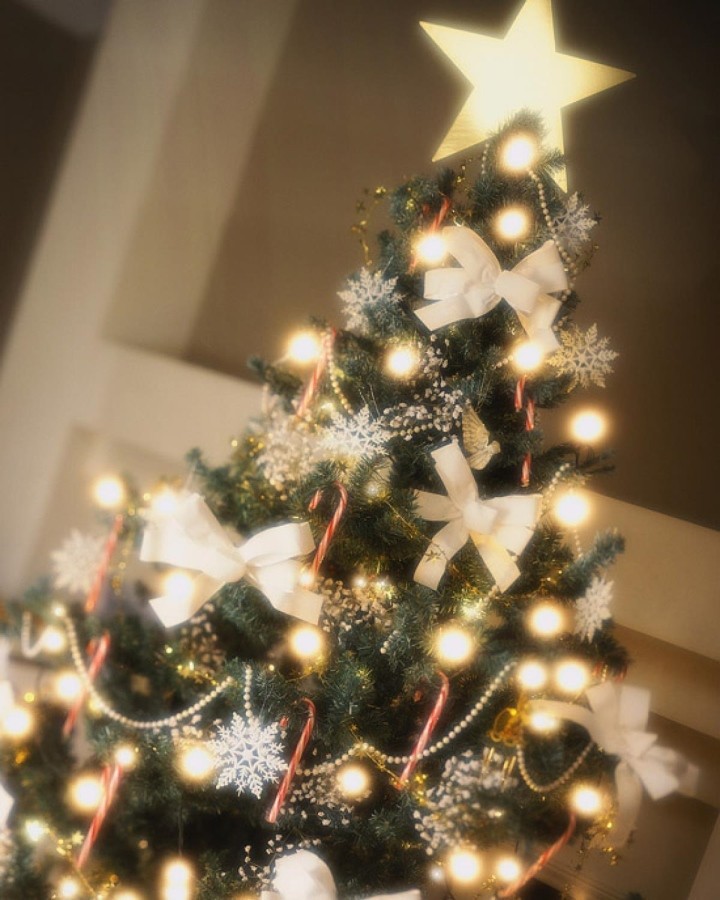 9 Món Đồ Không Thể Thiếu Khi Trang Trí Cây Thông Noel