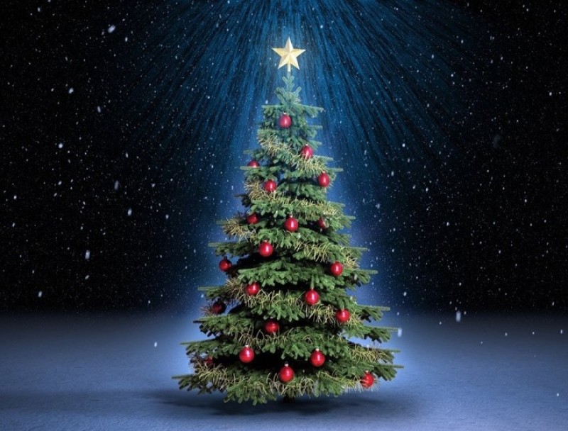 3 thắc mắc thú vị về ngày Noel mà nhiều người không biết đáp án - 3