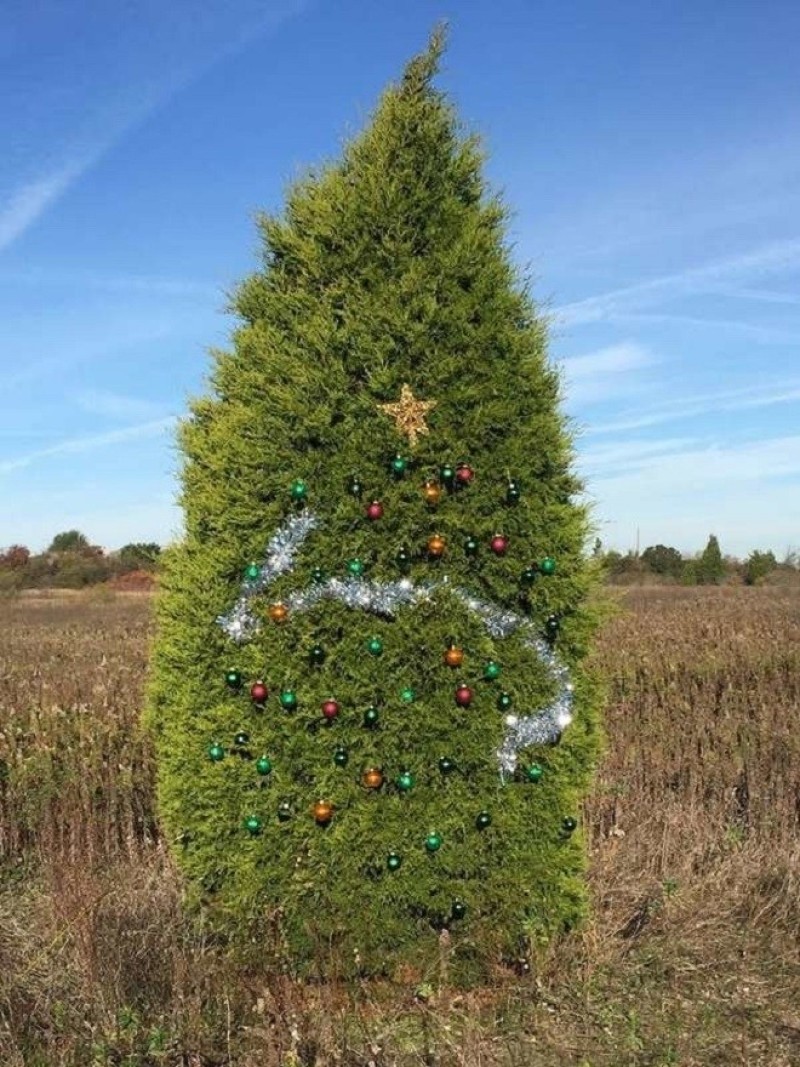 Những cây thông Noel xấu xí khiến dân mạng cười đau bụng - 13