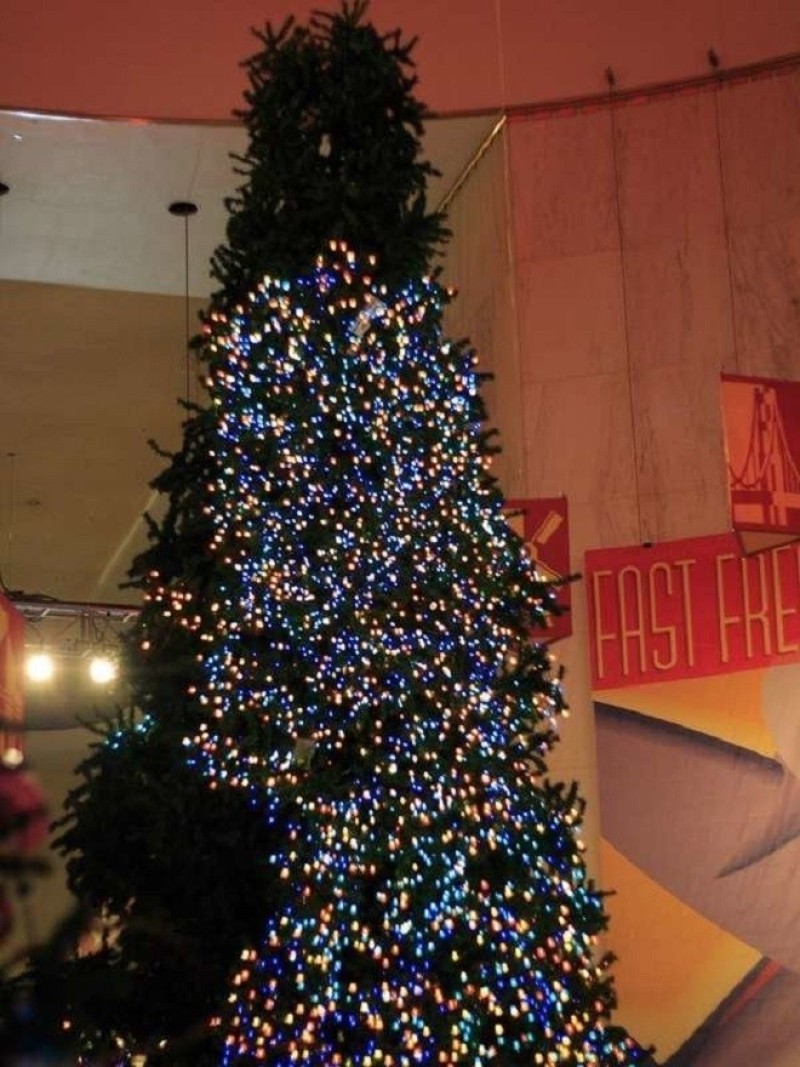Những cây thông Noel xấu xí khiến dân mạng cười đau bụng - 15