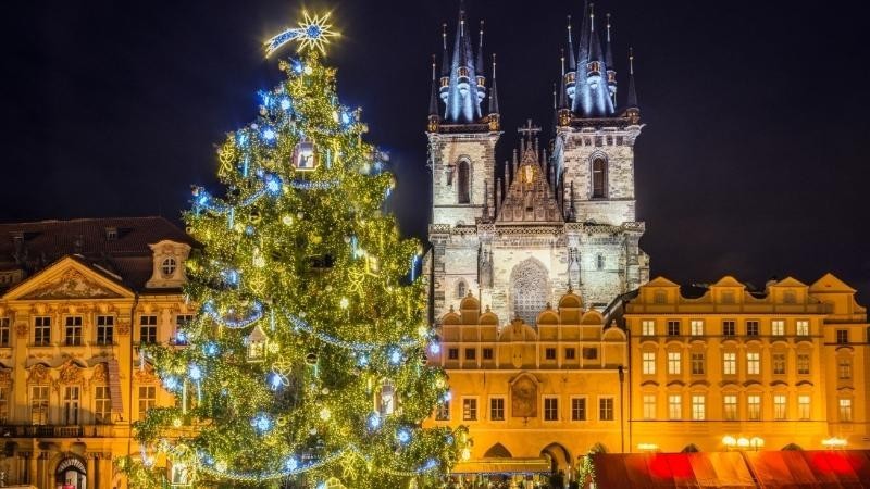 Một số mẫu cây thông Noel đẹp cho mùa Giáng sinh