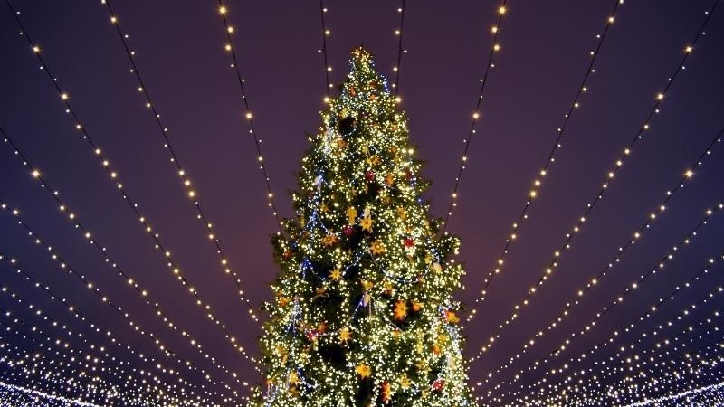 Một số mẫu cây thông Noel đẹp cho mùa Giáng sinh