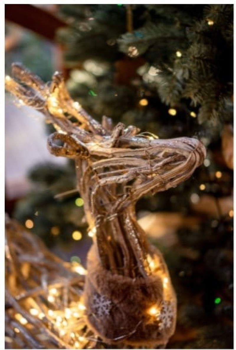 dây đèn Noel