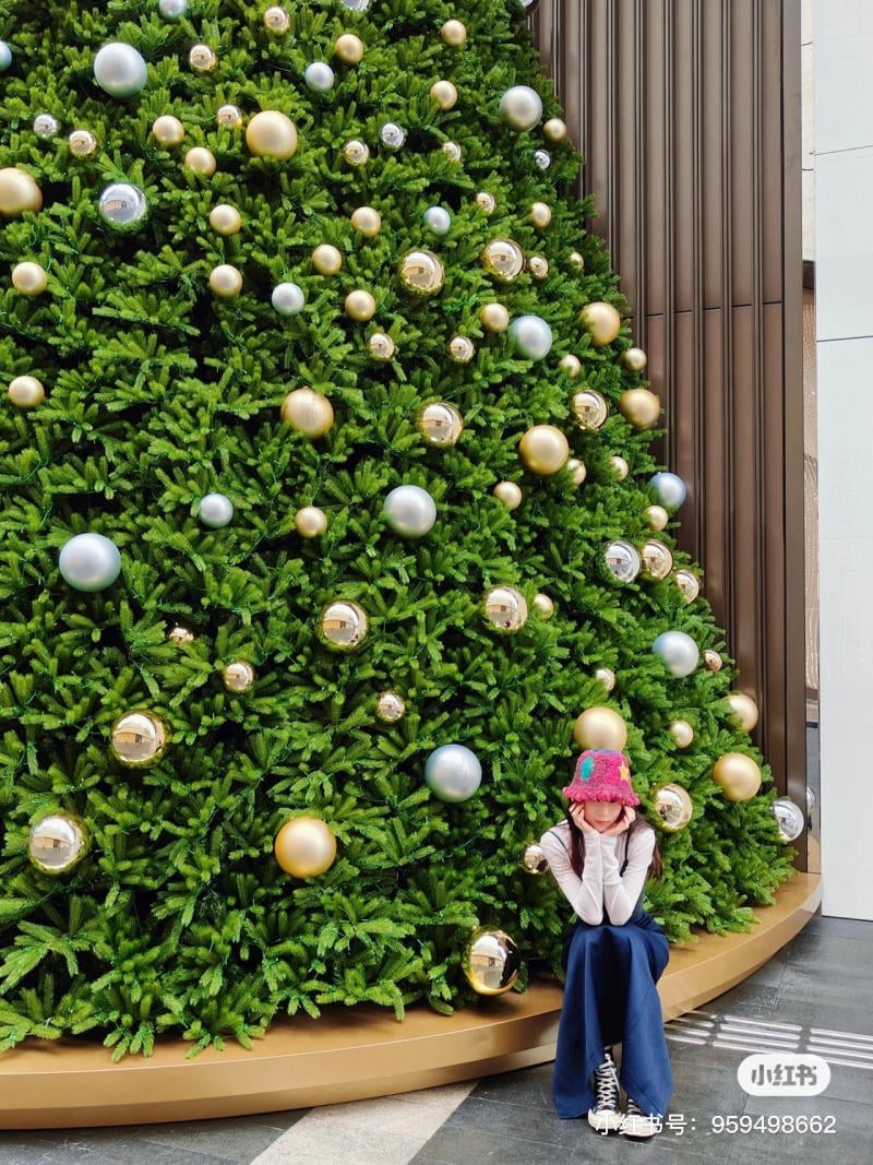 chụp ảnh với cây thông Noel