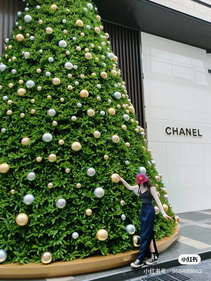 chụp ảnh với cây thông Noel
