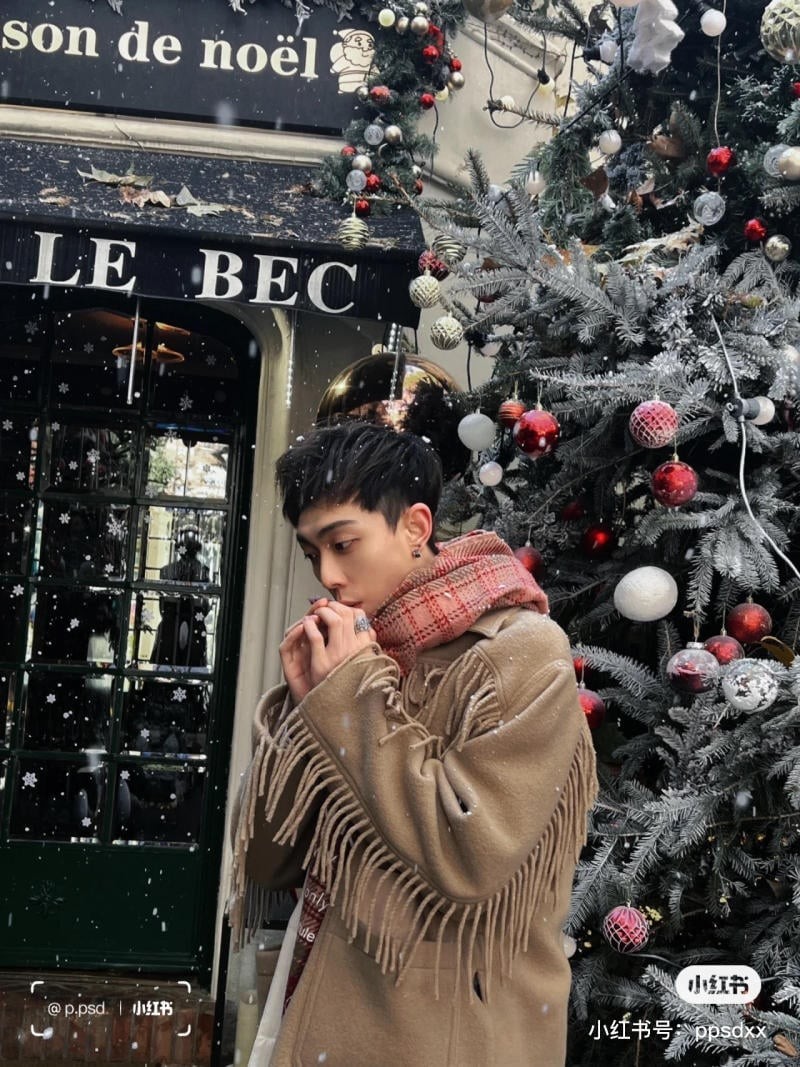 chụp ảnh với cây thông Noel