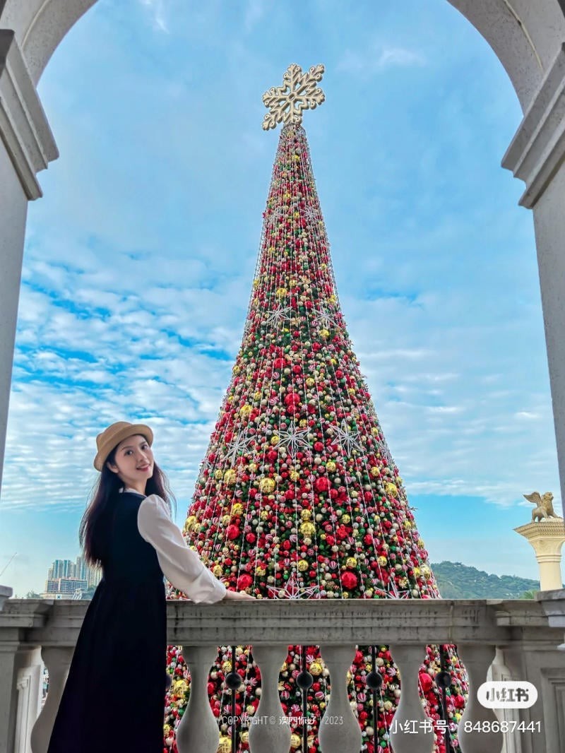chụp ảnh với cây thông Noel