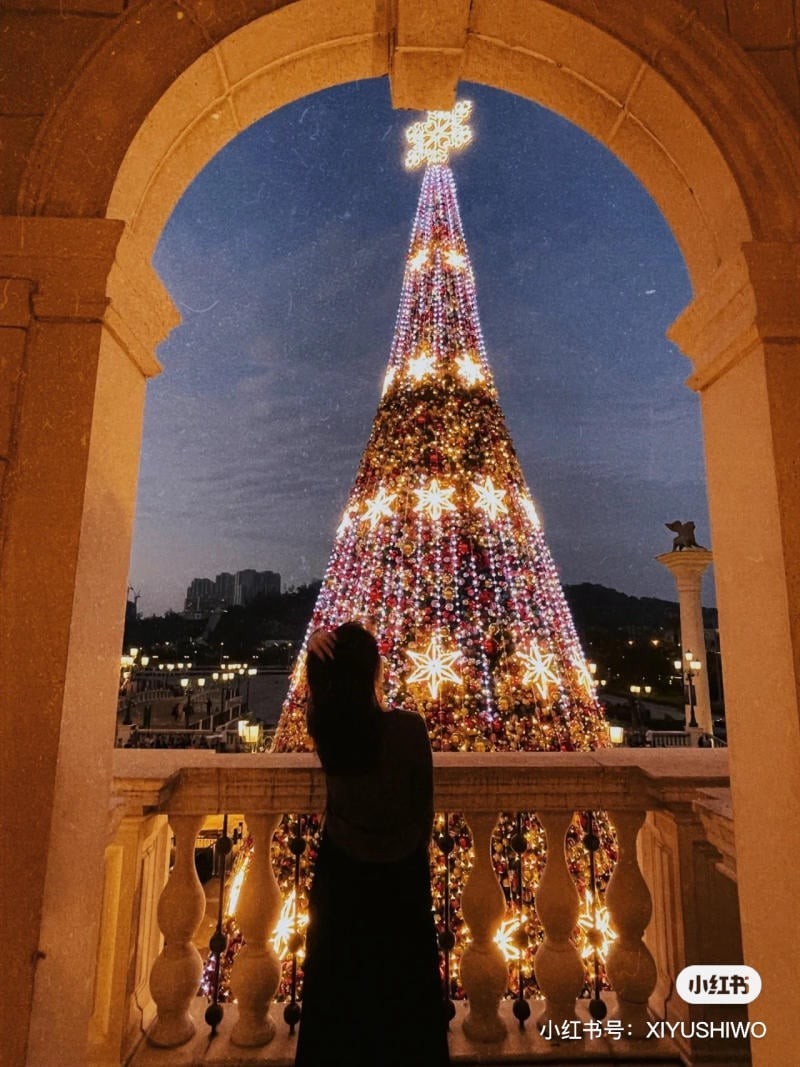 chụp ảnh với cây thông Noel