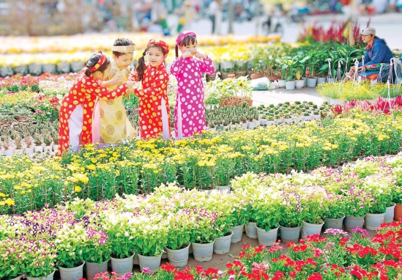 tết chưng hoa gì