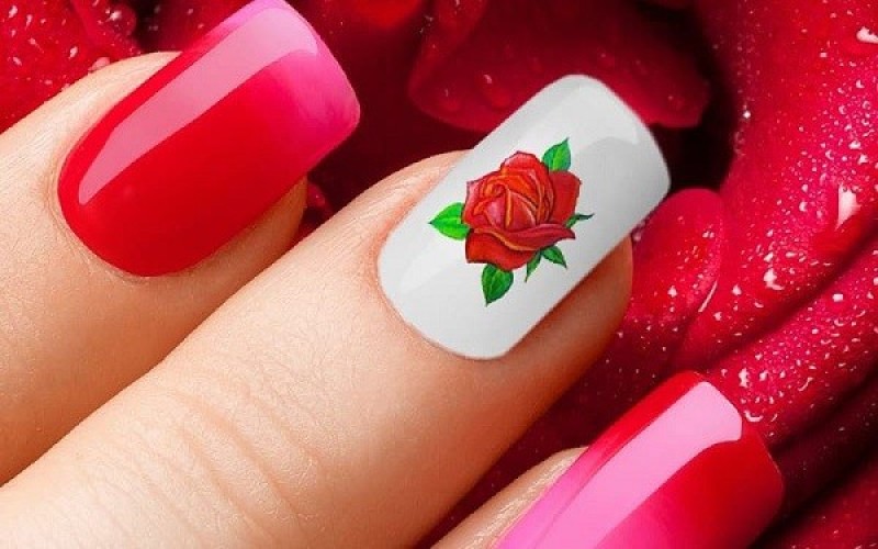 Mẫu nail Tết 2024 hoa hồng