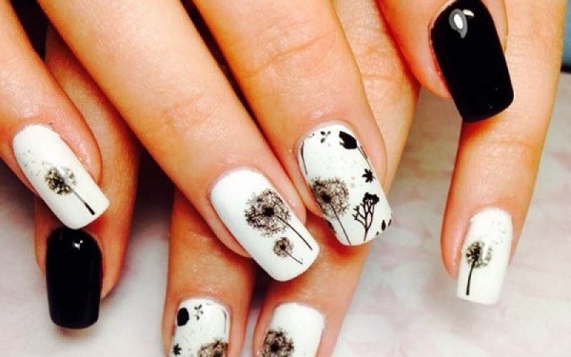 Mẫu nail hoa bồ công anh đẹp chơi Tết năm 2024