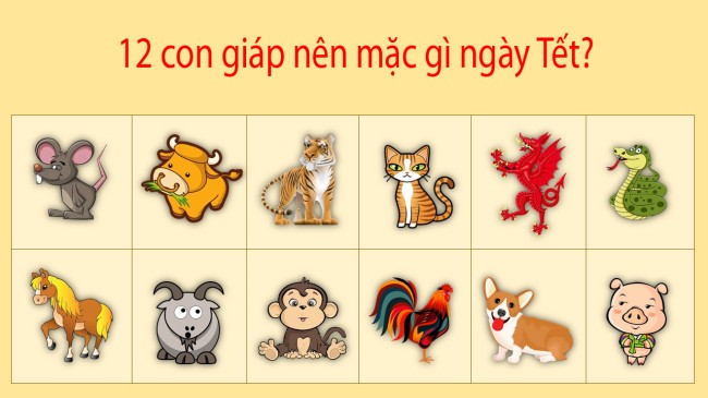 12 Con Giáp Mặc Màu Gì Cho Tết 2024 Gặp Nhiều Tài Lộc, May Mắn