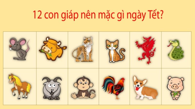 12 con giáp mặc màu gì ngày tết