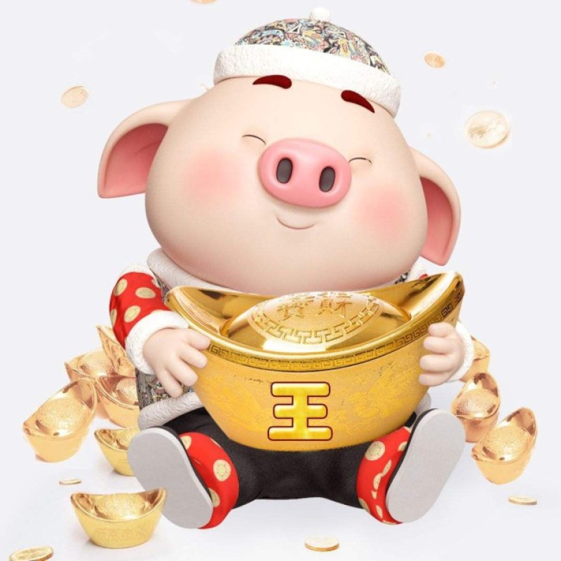 tuổi heo sẽ hợp các màu nào dịp tết 2024