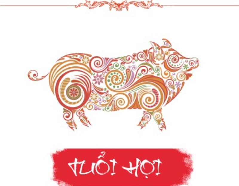 tuổi hợi lưu ý những gì 2024