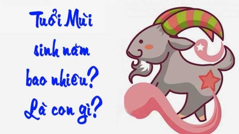 lưu ý gì cho tuổi mùi năm 2024