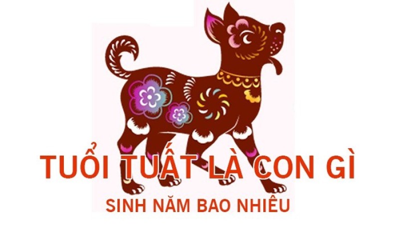 tuổi tuất là con gì ?