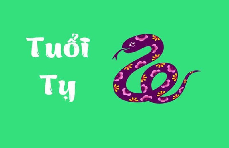 tuổi tỵ lưu ý gì năm 2024