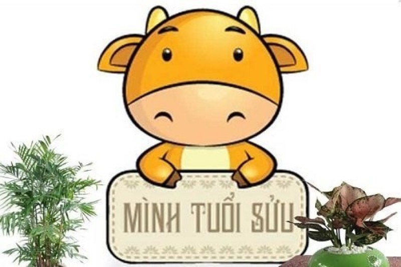 bạn tuổi sửu thì câng lưu ý gì năm 2024