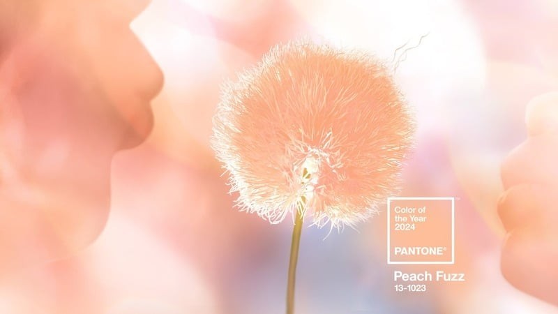 Peach Fuzz