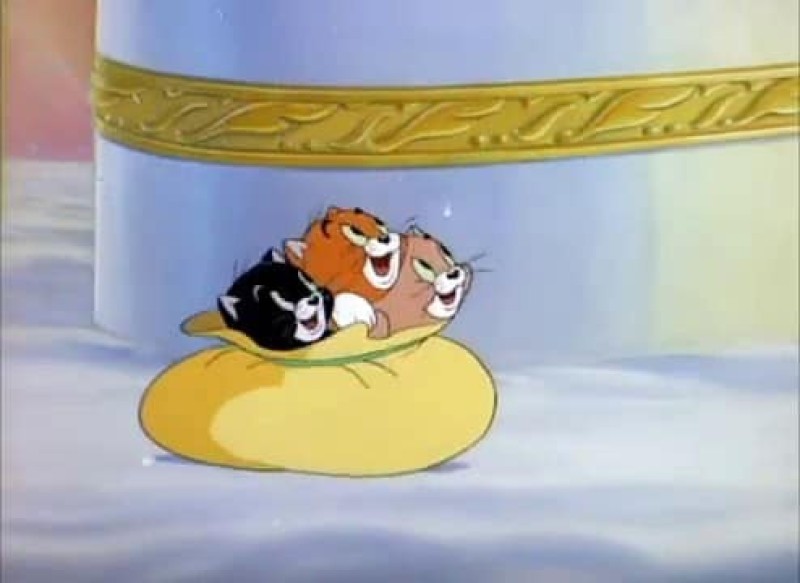  Fluff, Muff, Puff cho chúng ta thấy thế giới này thật tàn nhẫn