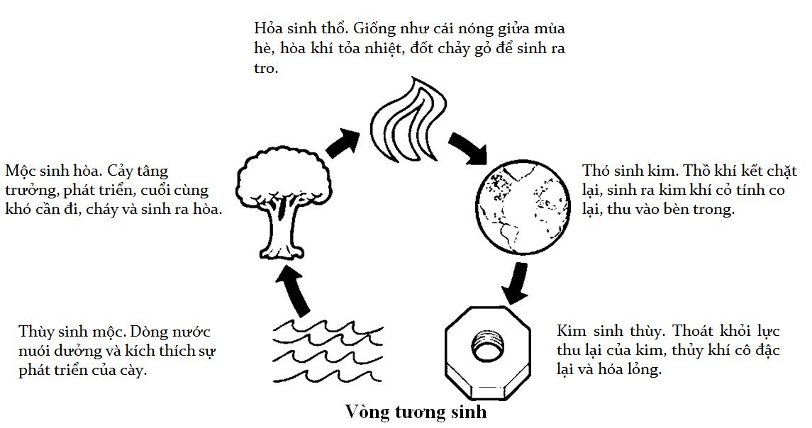 Các Mối Quan Hệ Trong Ngũ Hành Tương Sinh Có Điểm Gì Đặc Biệt