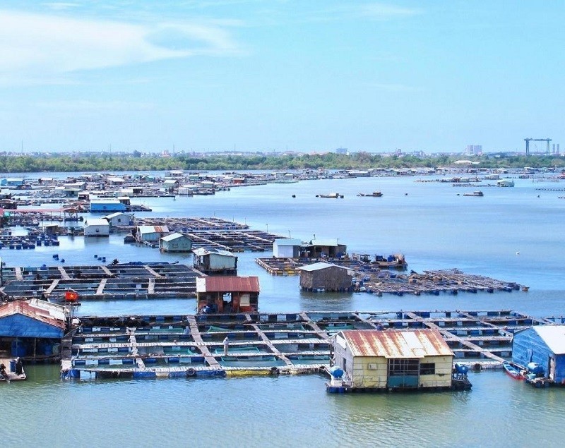 Cung đường Long Sơn khá đẹp, khá dễ đi 