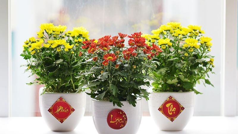 trang trí nhà cửa đón Tết 2024