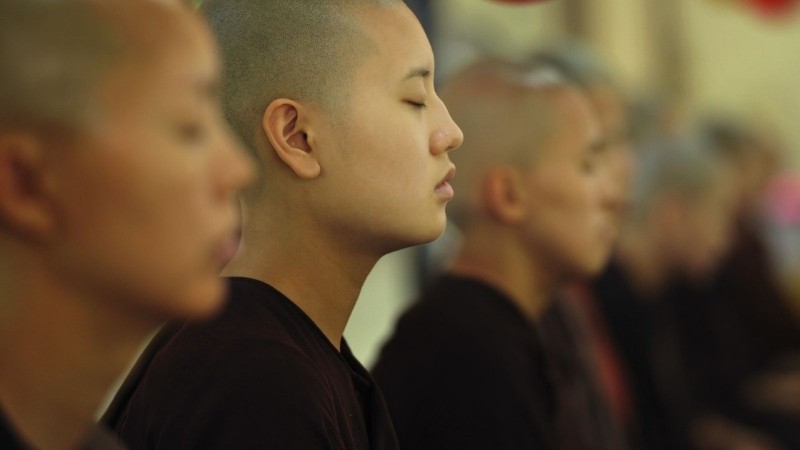Ý nghĩa của màu nâu trong văn hóa