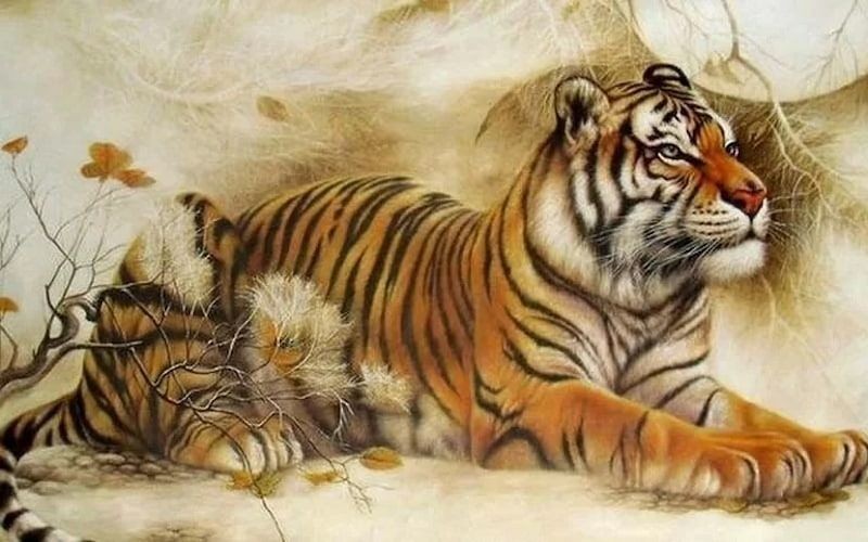 Bảng tính sao hạn 2024 cho tuổi Dần