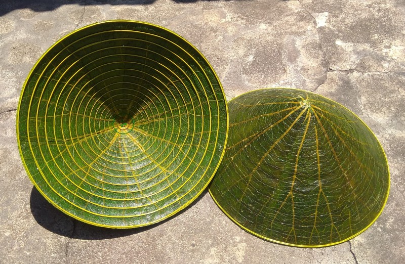 Làm từ lá Dừa