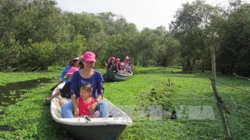 Du khách tham quan rừng tràm Trà Sư (An Giang). Ảnh: Hồng Nhung - TTXVN