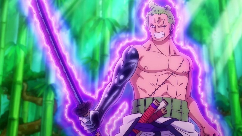 one piece roronoa zoro