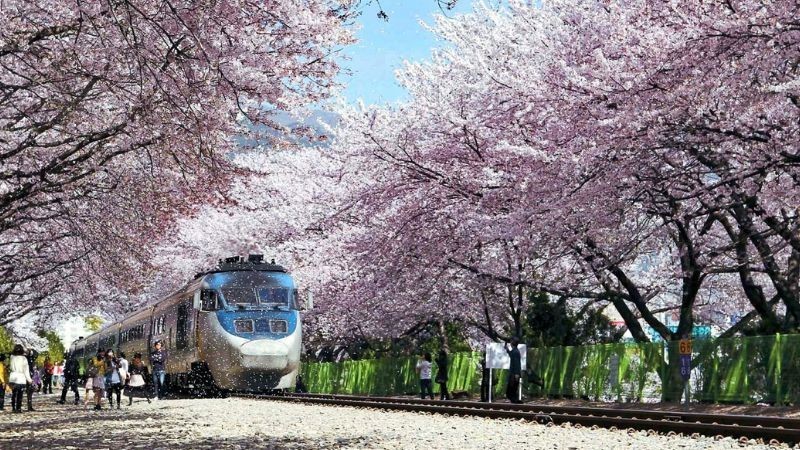 Nhà ga Gyeonghwa với vẻ đẹp vô cùng lãng mạn
