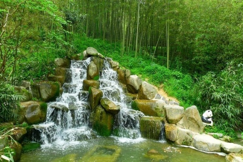 Vườn trúc Juknokwon