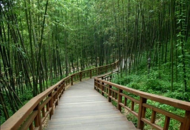Vườn trúc Juknokwon