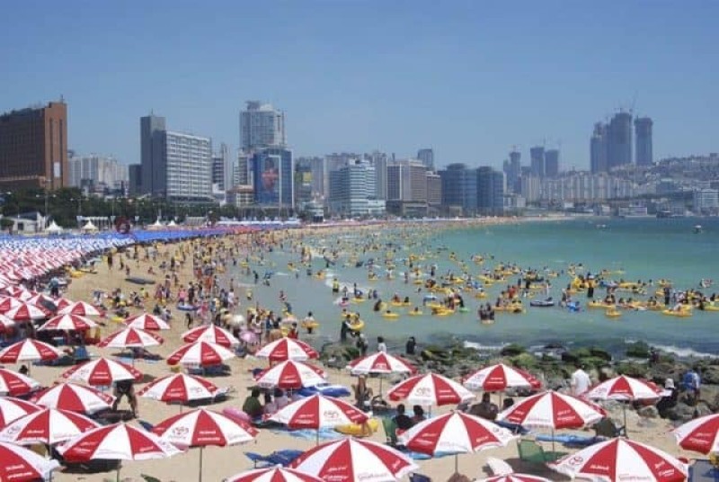 Thành phố biển Busan