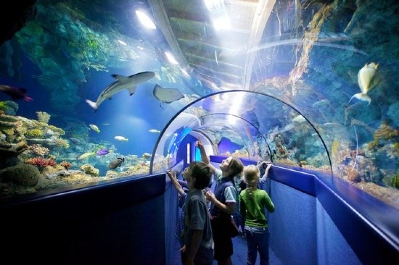 THỦY CUNG SEA LIFE LONDON