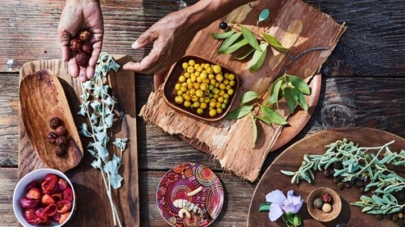 Bush Tucker – đặc sản nước Úc với phong vị tự nhiên độc đáo