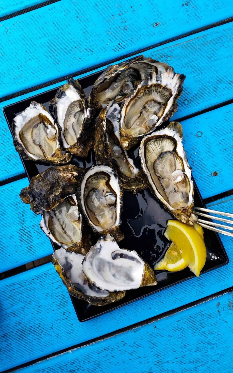 Bào ngư Úc viền xanh Tasmania