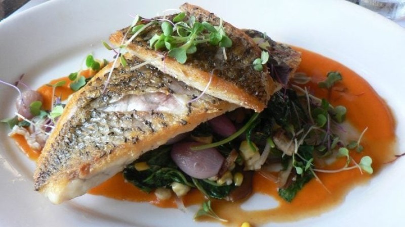 Cá Barramundi lạ miệng