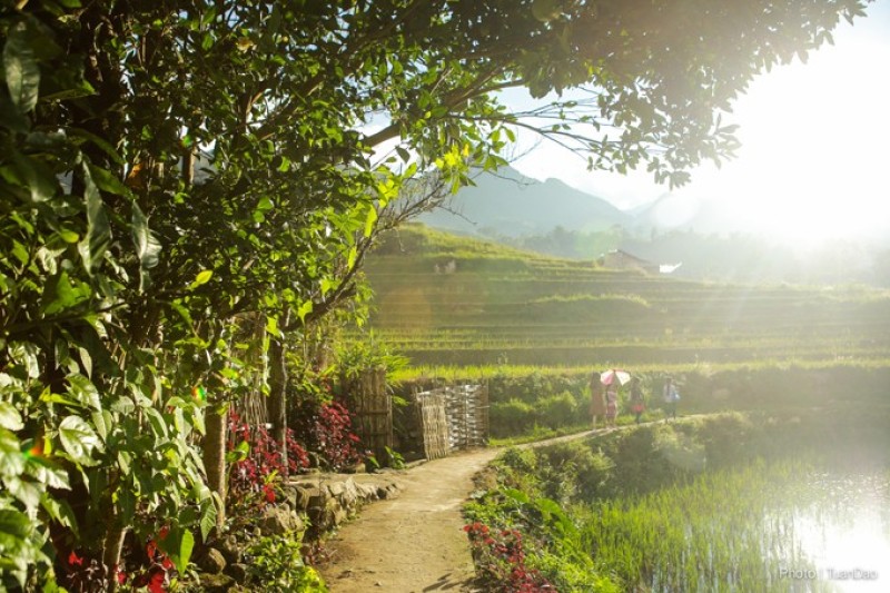 khung cảnh tuyệt đẹp tại bản Ta Van