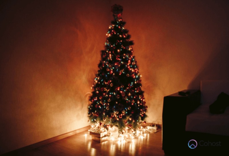 Hầu như tất cả chúng ta đều đã quá quen thuộc với hình ảnh cây thông Noel