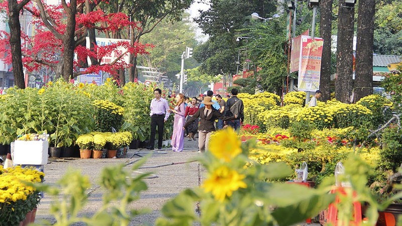 Gợi Ý Những Địa Điểm Chụp Hình Dịp Tết 2023