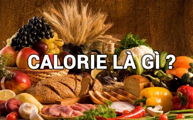 Cơ thể chúng ta cần thu nạp calo mỗi ngày