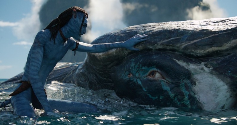 Avatar anh 5