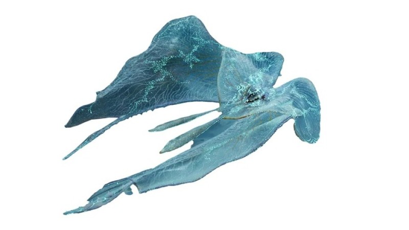 Avatar anh 6