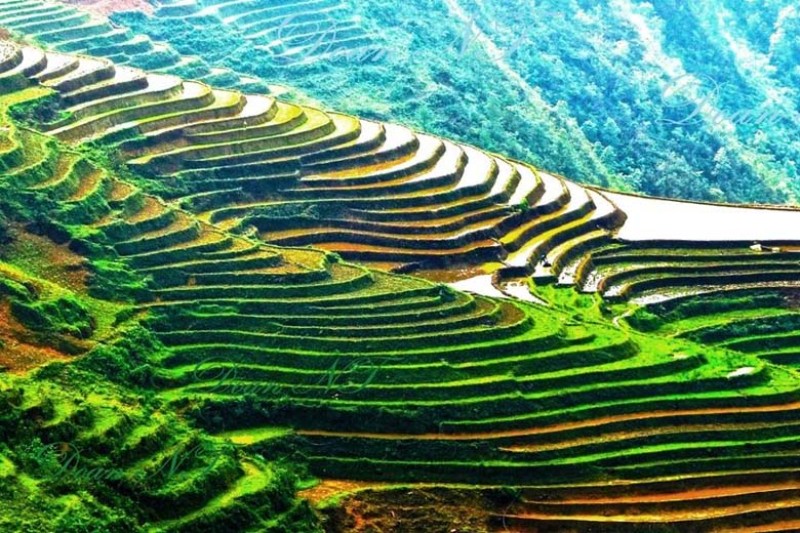 Cách chụp ảnh đẹp