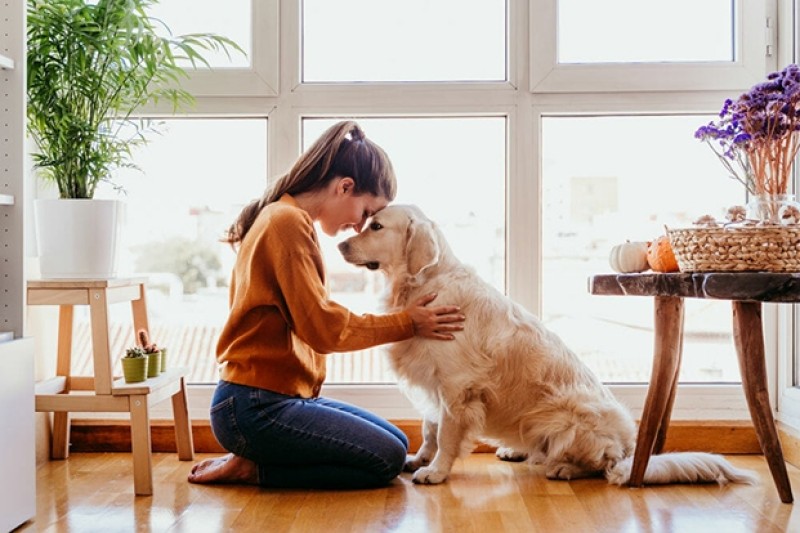 Chụp ảnh cùng thú cưng cũng là một cách hay để cho một người thấy bạn là một cô nàng ấm áp
